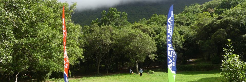 P1760396