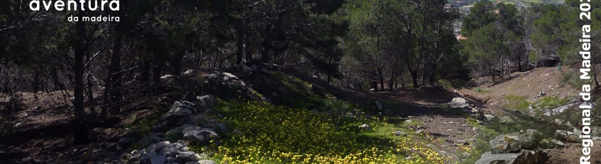 pxo-ori-imagem-cartaz-2026